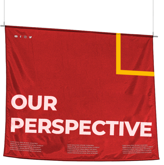 our perspective